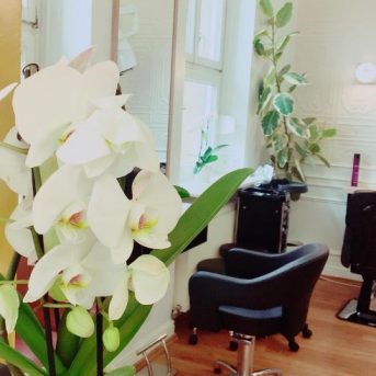 Bild oder Logo der Dankstelle Haarstudio Palast