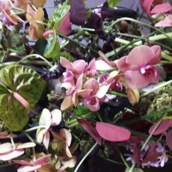 Bild der Dankstelle FLORALES AMBIENTE