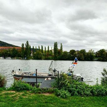 Bild der Dankstelle DLRG Stadtgruppe Heidelberg e.V.
