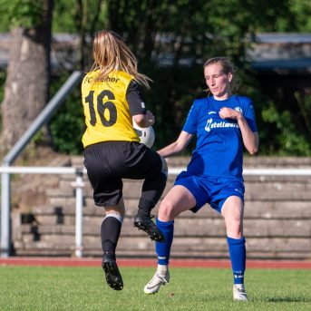 Bild der Dankstelle SG Heidelberg-Kirchheim e.V.