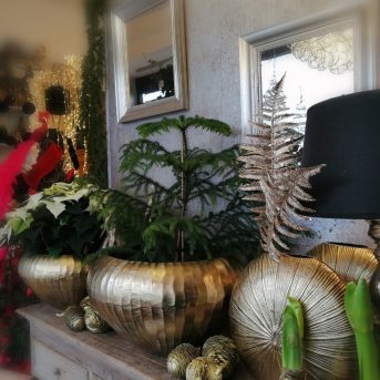 Bild der Dankstelle Blumen Kücherer