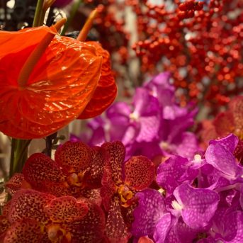 Bild oder Logo der Dankstelle Blume sucht Vase