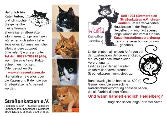 Bild der Dankstelle Straßenkatzen e.V.