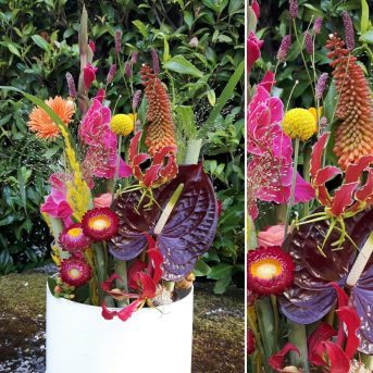 Bild oder Logo der Dankstelle Blumen Susanne Silbernagel