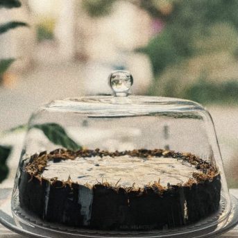 Bild der Dankstelle Südseite Specialty Coffee und Concept Store