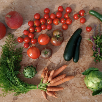 Bild oder Logo der Dankstelle Wildraum Mikrofarm
