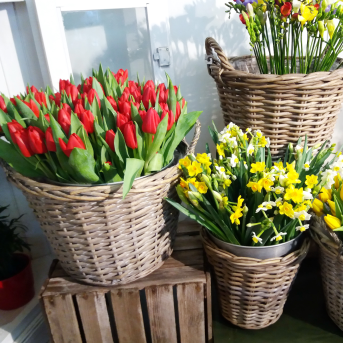 Bild der Dankstelle Blumen Elfner GbR