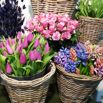 Bild der Dankstelle Blumen Elfner GbR