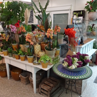 Bild oder Logo der Dankstelle Blumen Elfner GbR