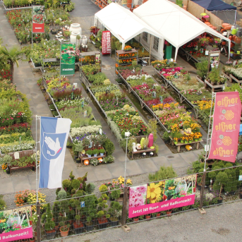 Bild oder Logo der Dankstelle Blumen Elfner GbR