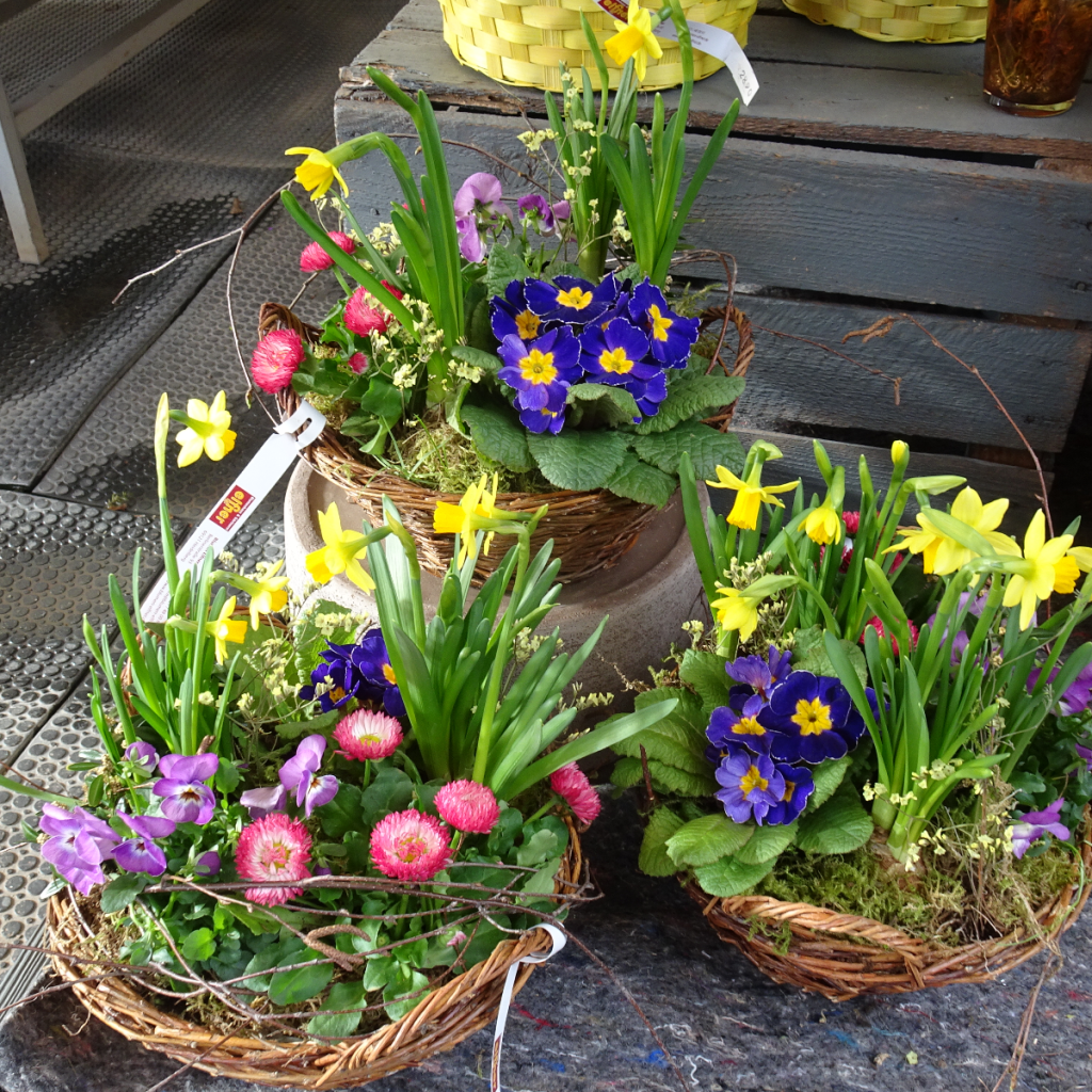 Bild der Dankstelle Blumen Elfner GbR